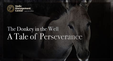  The Donkey - A Tale Of Perseverance And Unexpected Rewards!